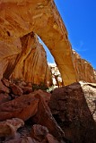 USA Muley arch.jpg